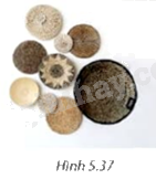 Giải bài tập 5.24 trang 107 SGK Toán 9 tập 1 - Kết nối tri thức 1