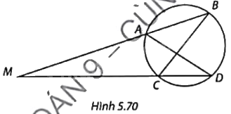 Giải bài tập 5.31 trang 126 SGK Toán 9 tập 1 - Cùng khám phá 1