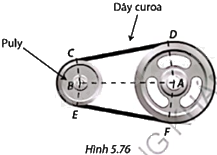 Giải bài tập 5.39 trang 128 SGK Toán 9 tập 1 - Cùng khám phá 1