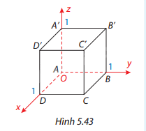 Giải bài tập 5.43 trang 86 SGK Toán 12 tập 2 - Cùng khám phá 1