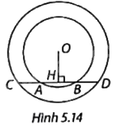 Giải bài tập 5.5 trang 102 SGK Toán 9 tập 1 - Cùng khám phá 1
