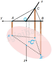 Giải bài tập 5.50 trang 63 SGK Toán 12 tập 2 - Kết nối tri thức 2