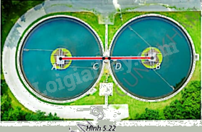 Giải bài tập 5.9 trang 106 SGK Toán 9 tập 1 - Cùng khám phá 1