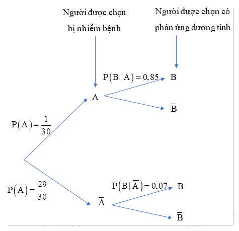 Giải bài tập 5 trang 103 SGK Toán 12 tập 2 - Cánh diều 2