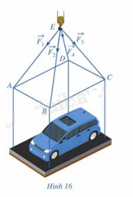 Giải bài tập 5 trang 64 SGK Toán 12 tập 1 - Cánh diều 1