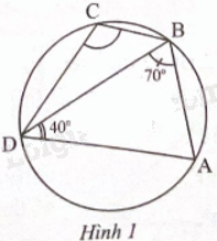 Giải bài tập 5 trang 87 sách bài tập toán 9 - Chân trời sáng tạo tập 2 1
