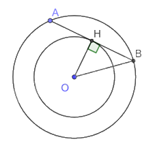 Giải bài tập 5 trang 97 SGK Toán 9 tập 1 - Chân trời sáng tạo 2