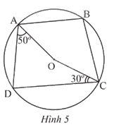 Giải bài tập 6 trang 81 SGK Toán 9 tập 2 - Chân trời sáng tạo 1