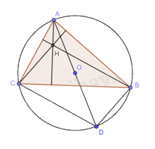 Giải bài tập 7.21 trang 40 SGK Toán 9 tập 2 - Cùng khám phá 2