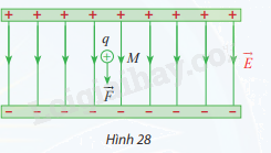 Giải bài tập 7 trang 51 SGK Toán 12 tập 1 - Chân trời sáng tạo 1
