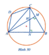 Giải bài tập 7 trang 78 SGK Toán 9 tập 2 - Cánh diều 2