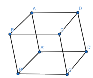 Giải bài tập 7 trang 81 SGK Toán 12 tập 1 - Cánh diều 2