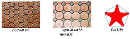 Giải bài tập 8.5 trang 48 SGK Toán 9 tập 2 - Cùng khám phá 1