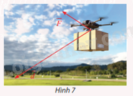 Giải bài tập 8 trang 64 SGK Toán 12 tập 1 - Chân trời sáng tạo 1