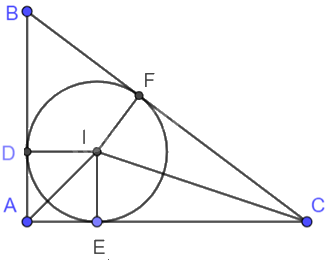 Giải bài tập 9.17 trang 79 SGK Toán 9 tập 2 - Kết nối tri thức 3