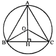 Giải bài tập 9.8 trang 76 SGK Toán 9 tập 2 - Kết nối tri thức 2