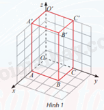 Giải bài tập 9 trang 65 SGK Toán 12 tập 1 - Chân trời sáng tạo 1
