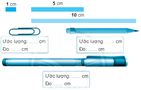 Giải bài: Thực hành và trải nghiệm (trang 81) VBT toán 2 - Chân trời sáng tạo 1