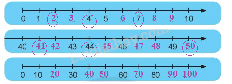 Giải bài: Tia số - số liền trước, số liền sau (trang 29) Vở bài tập toán 2 - Chân trời sáng tạo 0 2