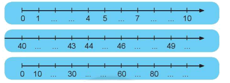 Giải bài: Tia số - số liền trước, số liền sau (trang 29) Vở bài tập toán 2 - Chân trời sáng tạo 1