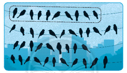 Giải bài: Ước lượng (trang 11) Vở bài tập toán 2 - Chân trời sáng tạo 0 1