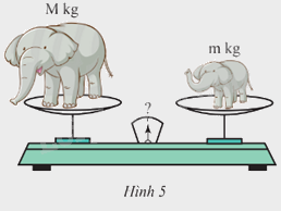Giải câu hỏi đố vui trang 51 SGK Toán 9 tập 1 - Chân trời sáng tạo 1