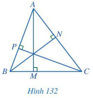 Giải câu hỏi khởi động trang 116 SGK Toán 7 tập 2 - Cánh diều 1