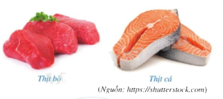 Giải câu hỏi khởi động trang 12 SGK Toán 9 tập 1 - Cánh diều 1