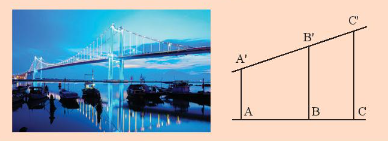 Giải câu hỏi khởi động trang 44 SGK Toán 8 tập 2– Chân trời sáng tạo 1