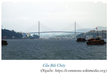 Giải câu hỏi khởi động trang 97 SGK Toán 7 tập 2 - Cánh diều 1