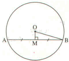 Giải câu hỏi trắc nghiệm trang 101 vở thực hành Toán 9 1 1