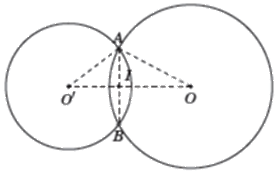 Giải câu hỏi trắc nghiệm trang 116 vở thực hành Toán 9 3 1