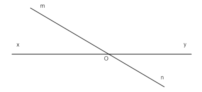 Giải câu hỏi trắc nghiệm trang 36,37 vở thực hành Toán 7 0 1