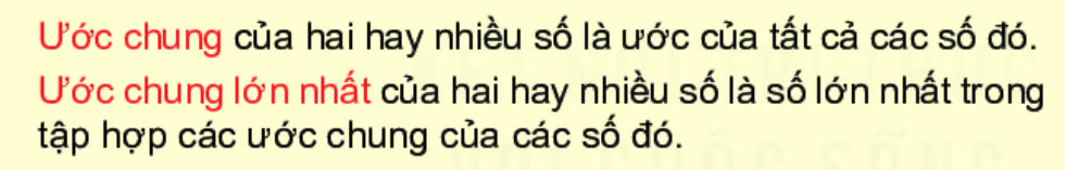 Giải câu hỏi trắc nghiệm trang 36 vở thực hành Toán 6 1