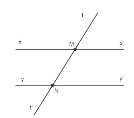 Giải câu hỏi trắc nghiệm trang 40 vở thực hành Toán 7 1