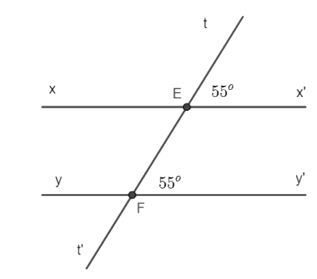Giải câu hỏi trắc nghiệm trang 40 vở thực hành Toán 7 2 1