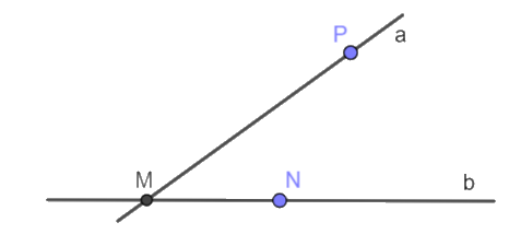 Giải câu hỏi trắc nghiệm trang 42 vở thực hành Toán 6 2