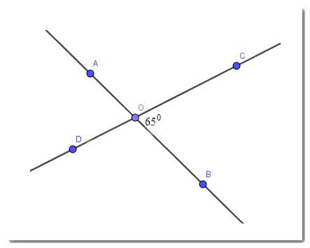 Giải Câu hỏi trắc nghiệm trang 47,48 sách bài tập Toán 7 Kết nối tri thức với cuộc sống 2