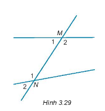 Giải Câu hỏi trắc nghiệm trang 47,48 sách bài tập Toán 7 Kết nối tri thức với cuộc sống 4