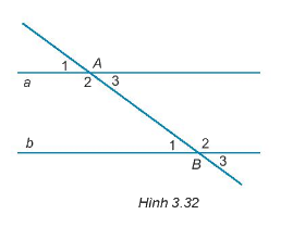 Giải Câu hỏi trắc nghiệm trang 47,48 sách bài tập Toán 7 Kết nối tri thức với cuộc sống 7