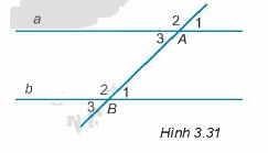 Giải Câu hỏi trắc nghiệm trang 47,48 sách bài tập Toán 7 Kết nối tri thức với cuộc sống 7 1