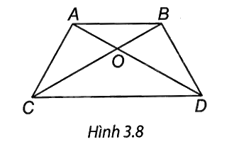 Giải câu hỏi trắc nghiệm trang 47 vở thực hành Toán 8 2