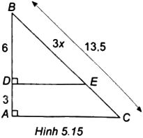 Giải câu hỏi trắc nghiệm trang 53, 54 sách bài tập toán 8 - Kết nối tri thức với cuộc sống 6 1