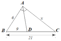 Giải câu hỏi trắc nghiệm trang 53, 54 sách bài tập toán 8 - Kết nối tri thức với cuộc sống 7