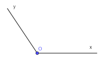 Giải câu hỏi trắc nghiệm trang 56 vở thực hành Toán 6 Q2 0 1