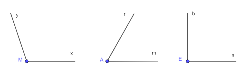 Giải câu hỏi trắc nghiệm trang 56 vở thực hành Toán 6 Q2 1 1