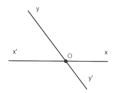Giải câu hỏi trắc nghiệm trang 60 vở thực hành Toán 6 Q2 2