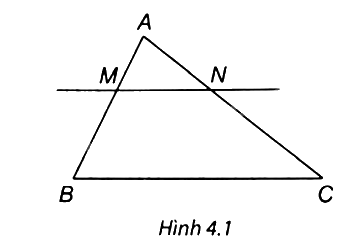 Giải câu hỏi trắc nghiệm trang 69 vở thực hành Toán 8 1