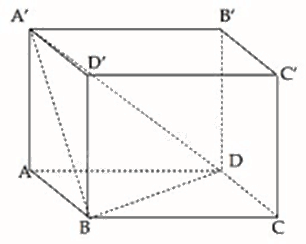 Giải câu hỏi trắc nghiệm trang 74, 75 sách bài tập toán 11 - Chân trời sáng tạo tập 2 1