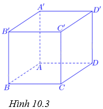 Giải câu hỏi trắc nghiệm trang 90, 91 vở thực hành Toán 7 tập 2 1